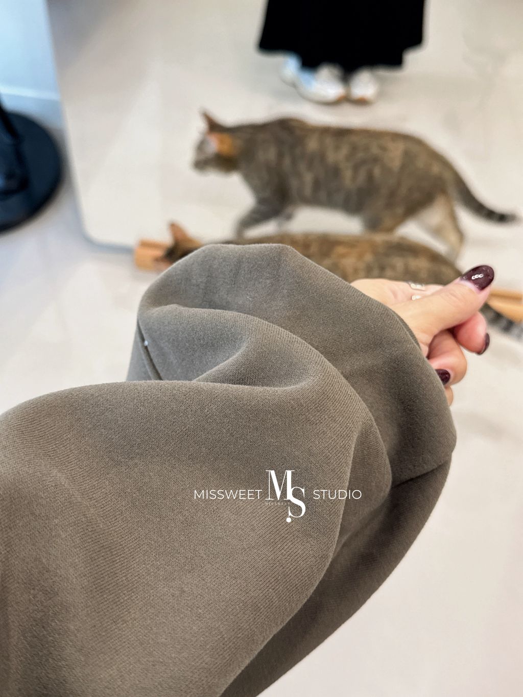 相片 2025-12-21 晚上10 51 16 (2)