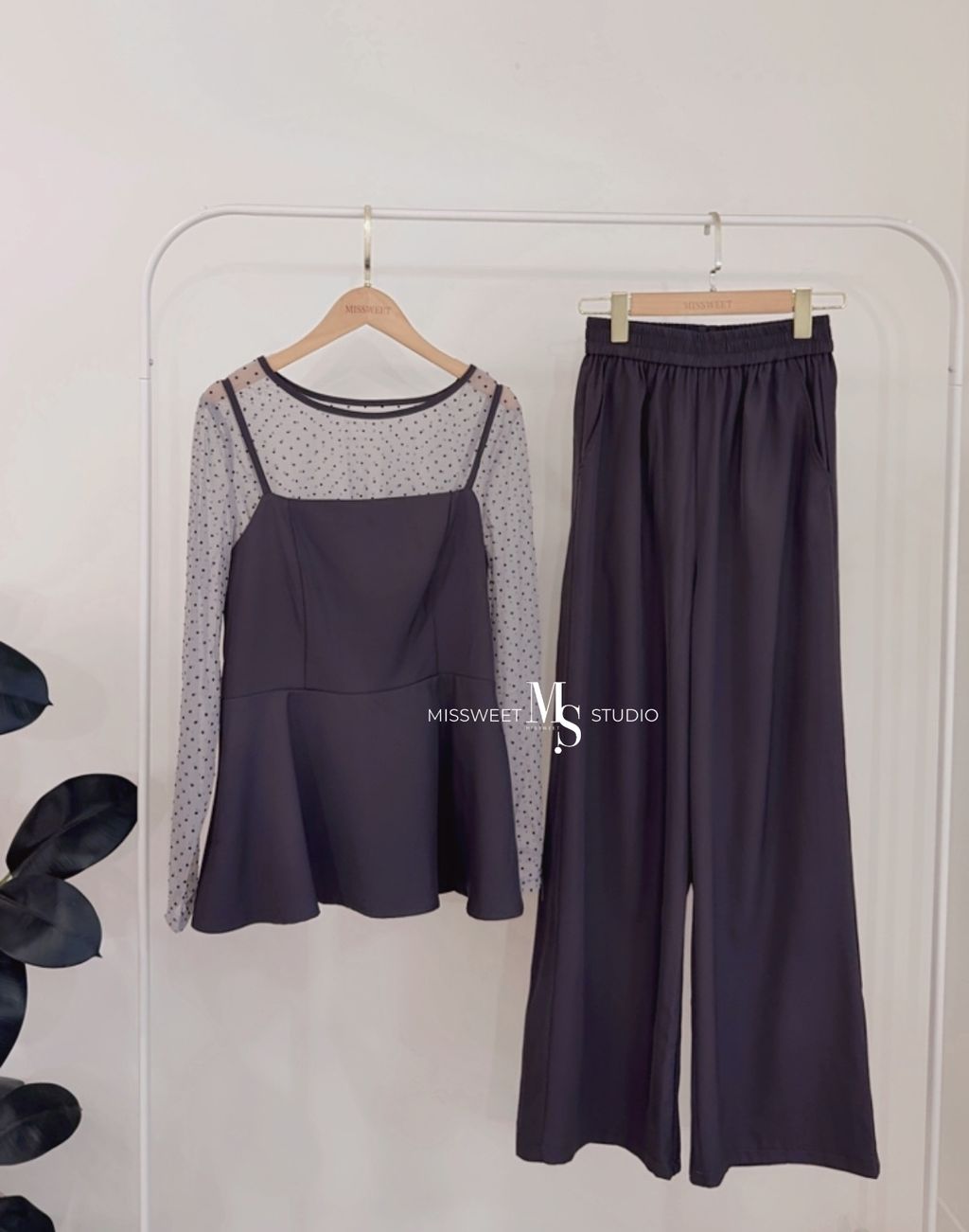 相片 2026-2-17 下午5 31 41