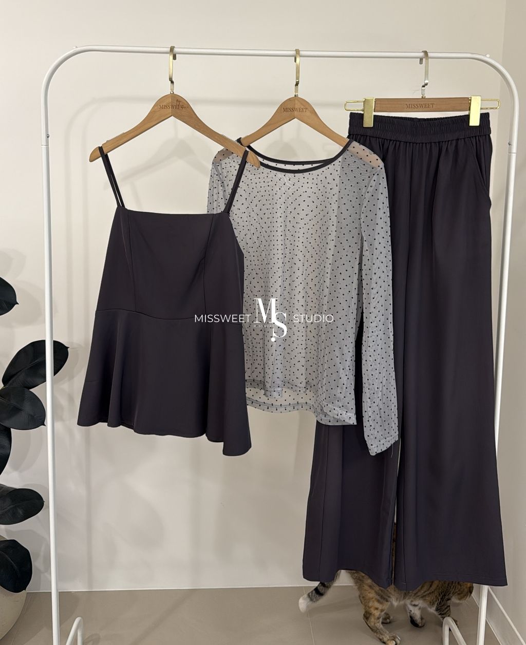 相片 2026-2-17 下午5 38 52