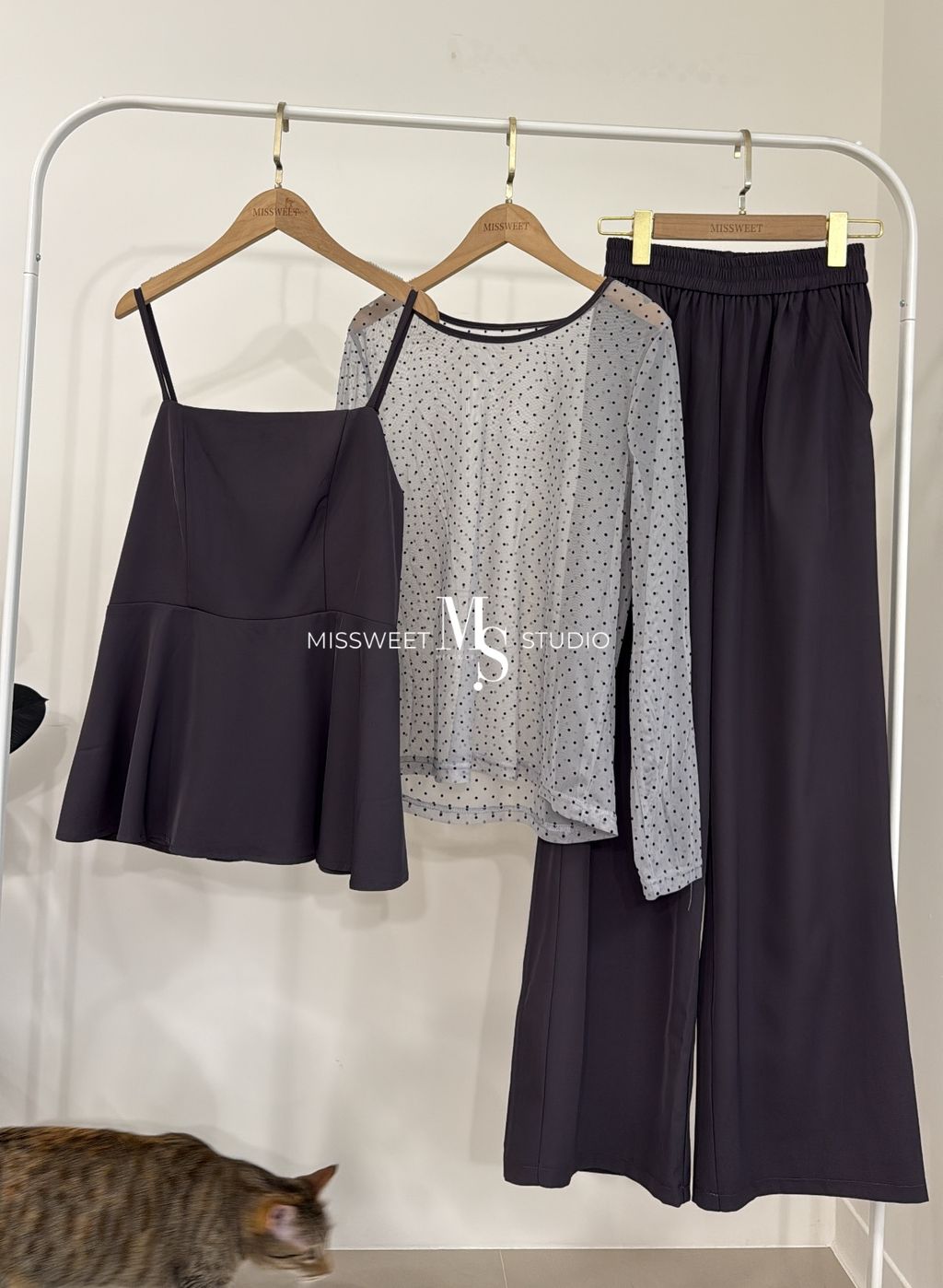 相片 2026-2-17 下午5 38 44