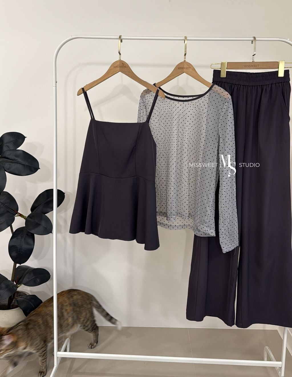 相片 2026-2-17 下午5 38 59