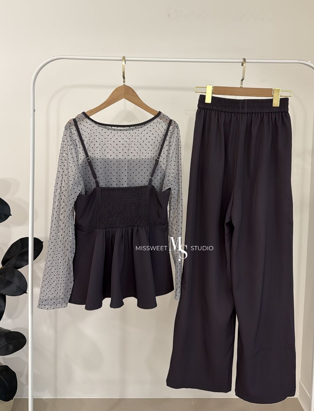 相片 2026-2-17 下午5 37 26