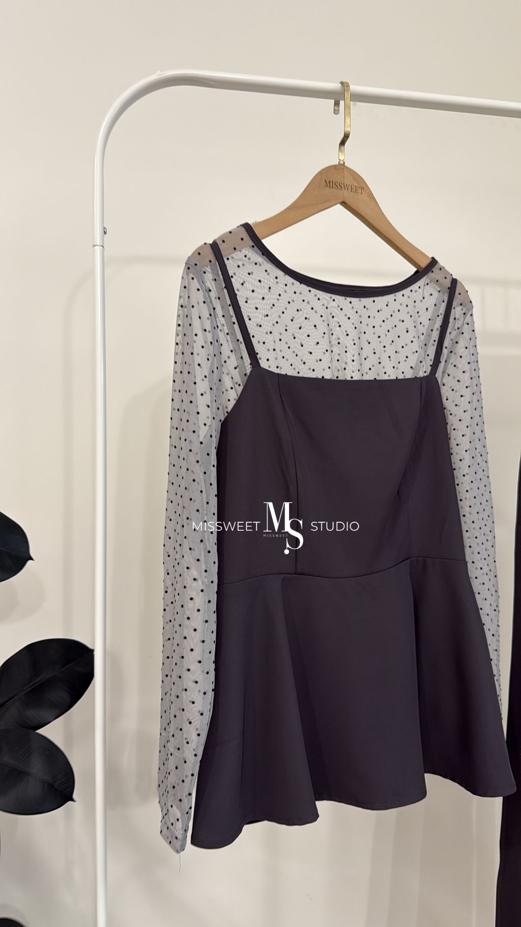 相片 2026-2-17 下午5 36 02