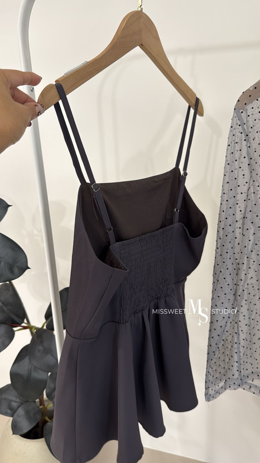 相片 2026-2-17 下午5 39 30