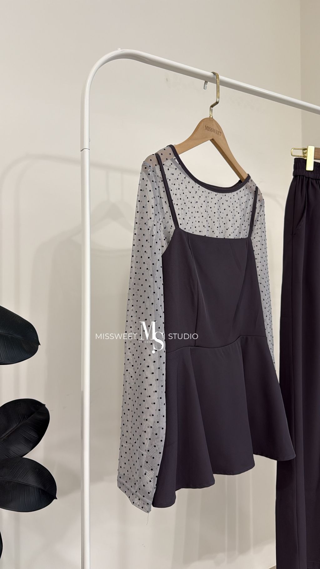 相片 2026-2-17 下午5 35 51