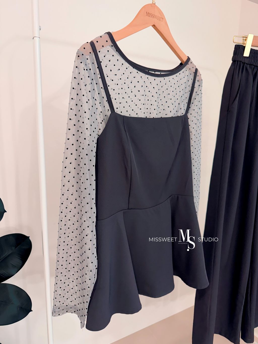 相片 2026-2-17 下午5 33 56