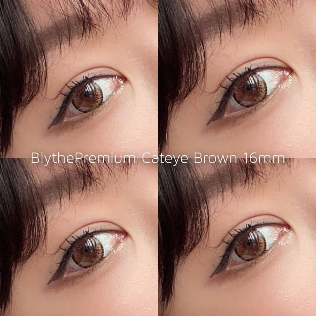 BlythePremium CatEye Brown 16mm 01.jpg