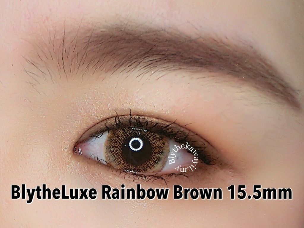 rainbow brown04.JPG