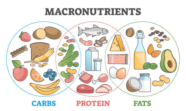 Macronutrients