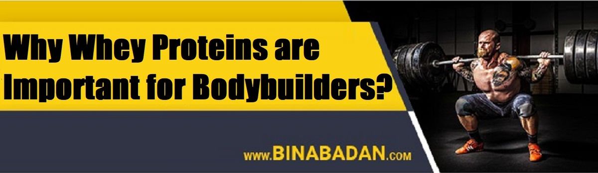 Why Whey Proteins are Important for Bodybuilders?