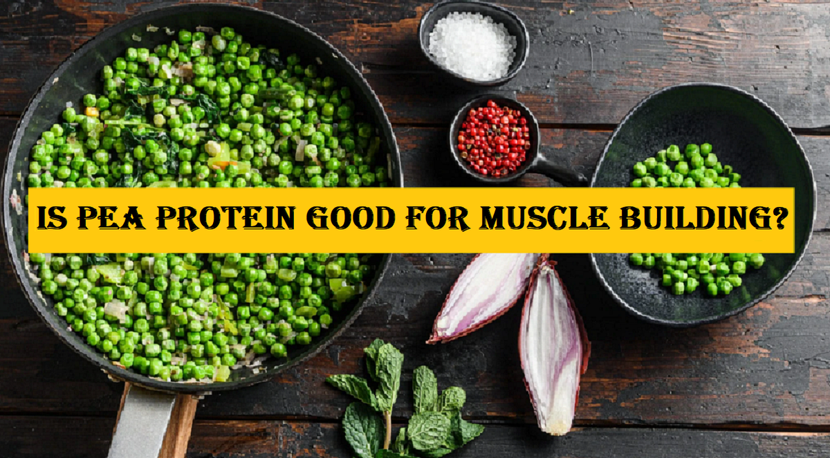 Is Pea Protein Good for Muscle Building?