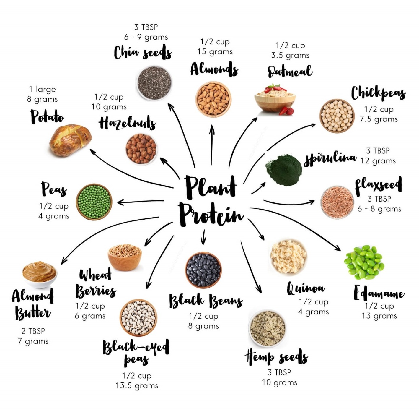 plant based proteins