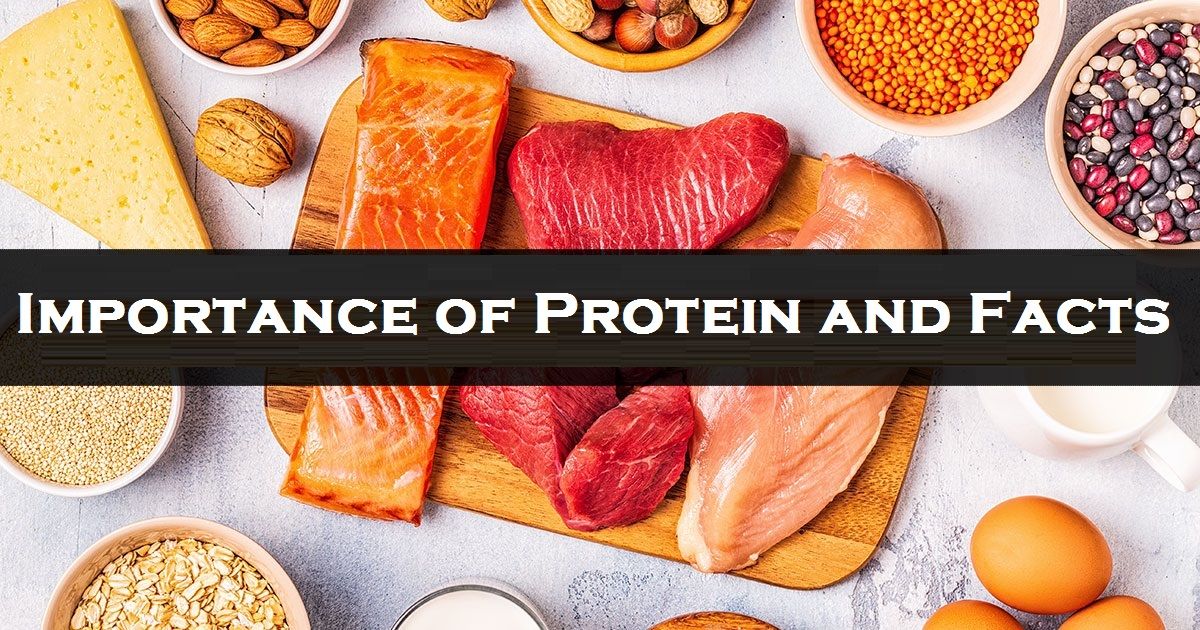 Importance of Protein and Facts Related to Its Intake