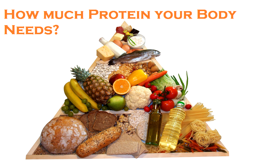 How much Protein your Body Needs.png