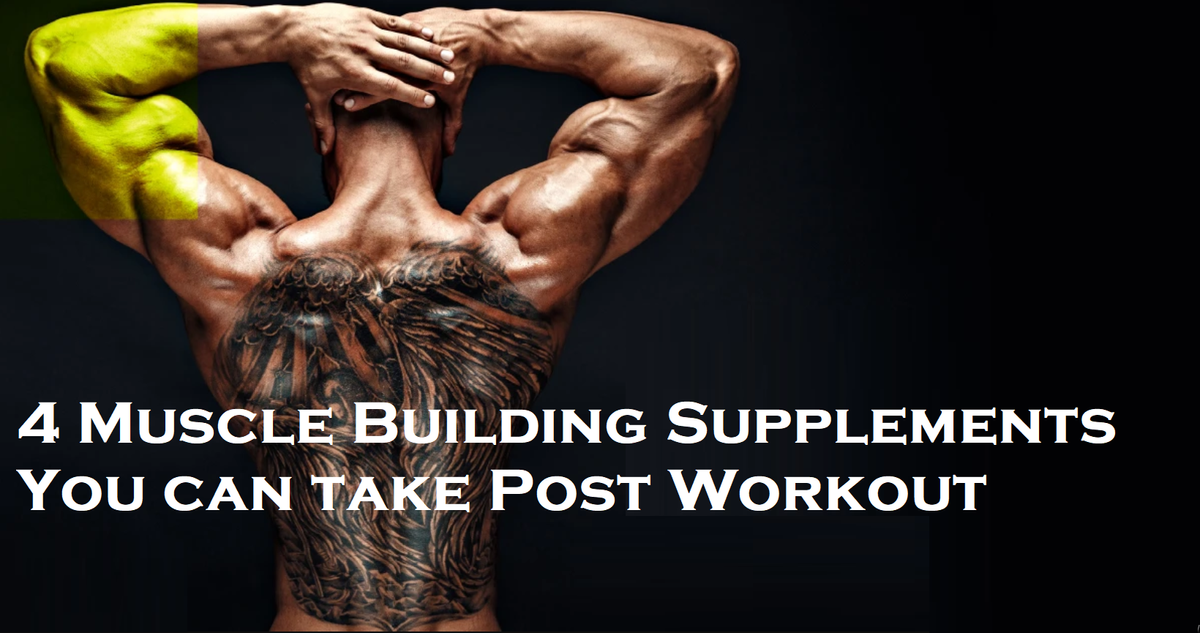 4 Muscle Building Supplements You can take Post Workout