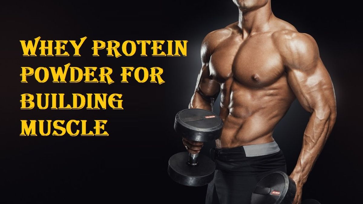 Whey Protein Powder for Building Muscle