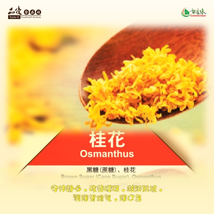 Osmanthus.jpg Osmanthus.jpg