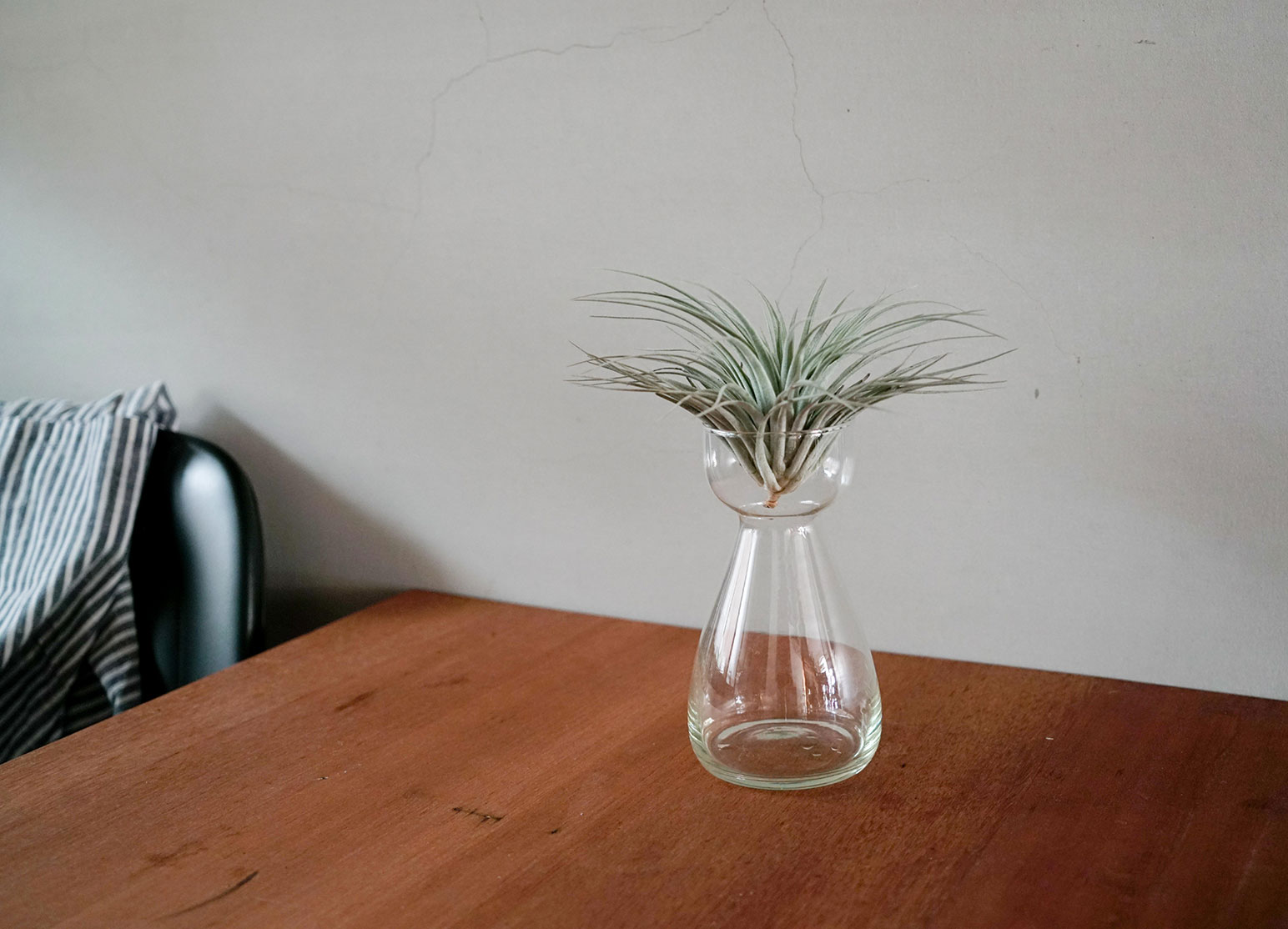 玻璃花器 Ref Store Co