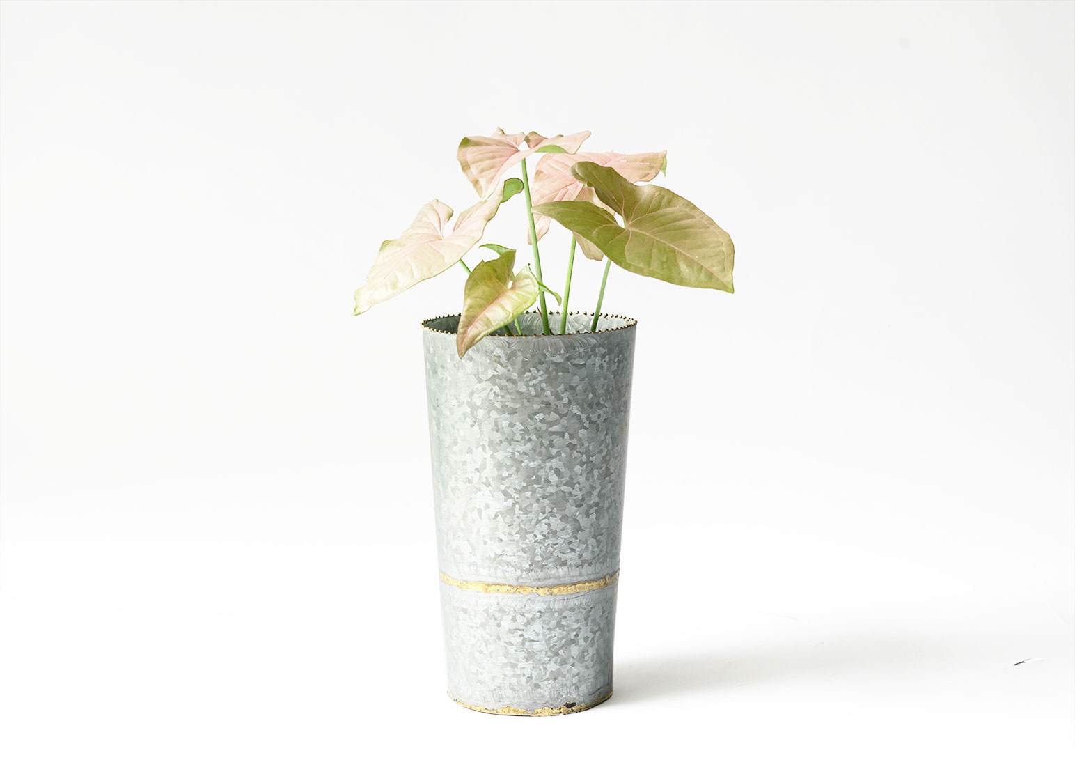色塊花器_情境-03156.jpg 色塊花器_情境-03156.jpg