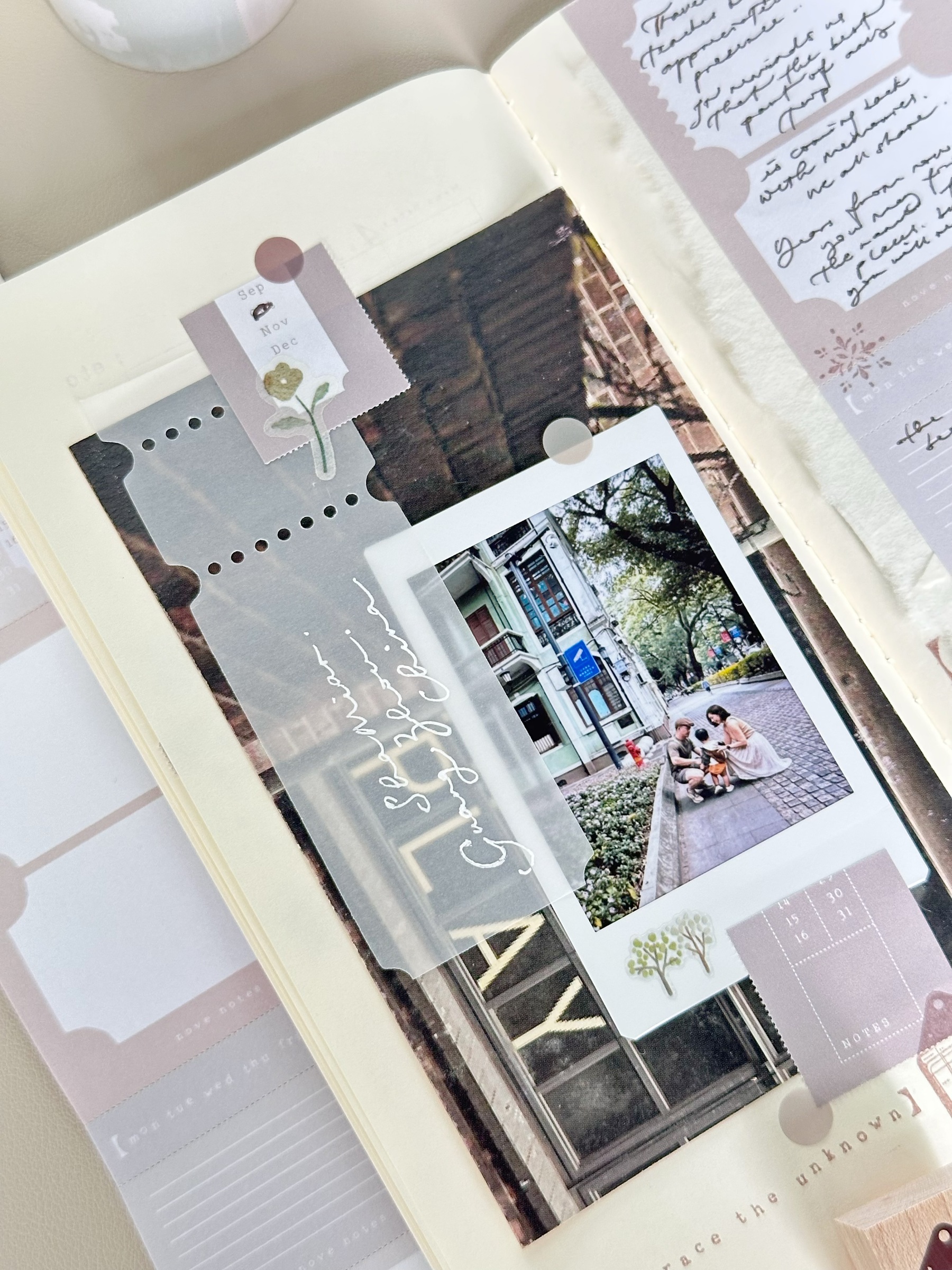 image_21EE3F23-0599-44B5-8A0C-AF1B03B5A4BD_1767716770