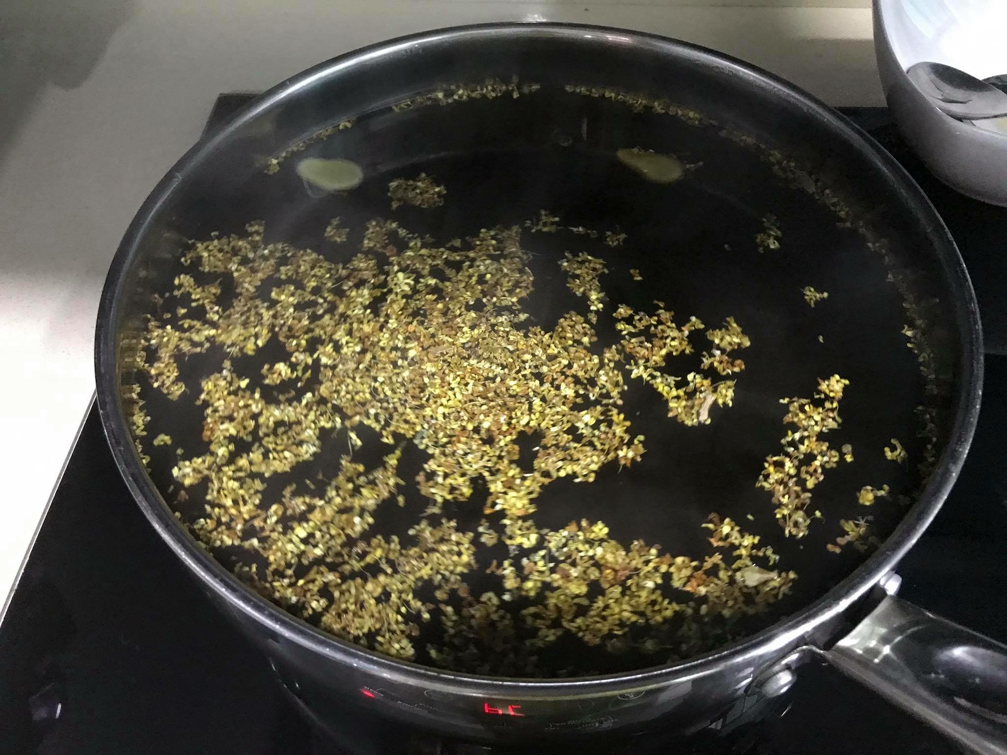 5EDDD68F-3D88-493B-854F-3AA977BB0AC1.jpeg 5EDDD68F-3D88-493B-854F-3AA977BB0AC1.jpeg