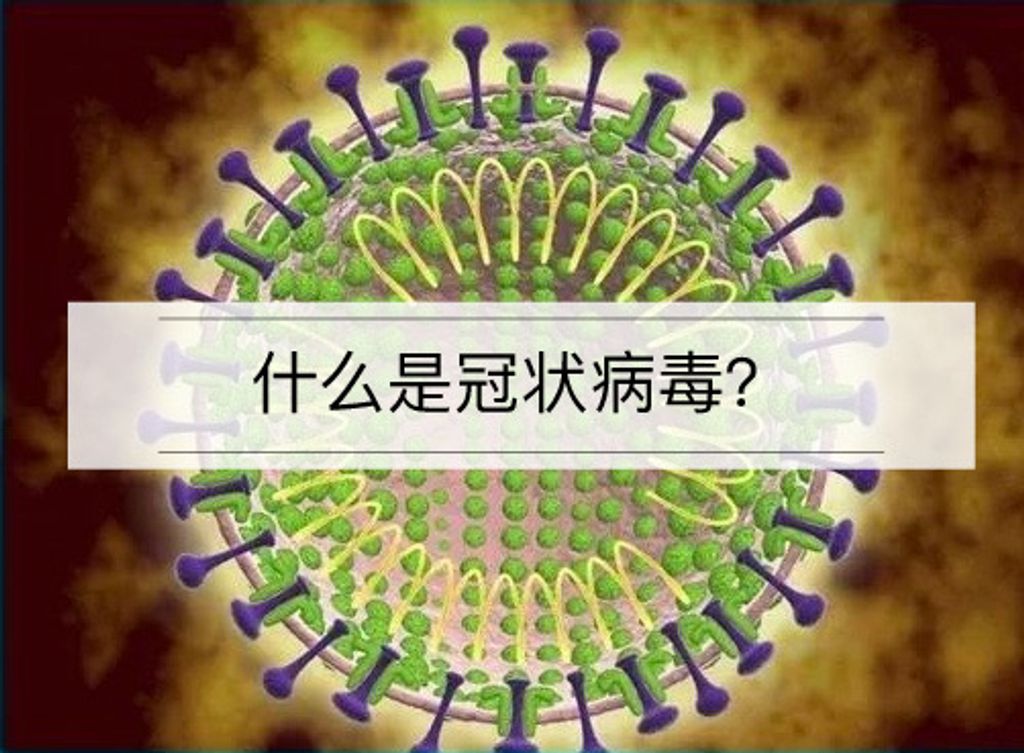 什么是冠状病毒？