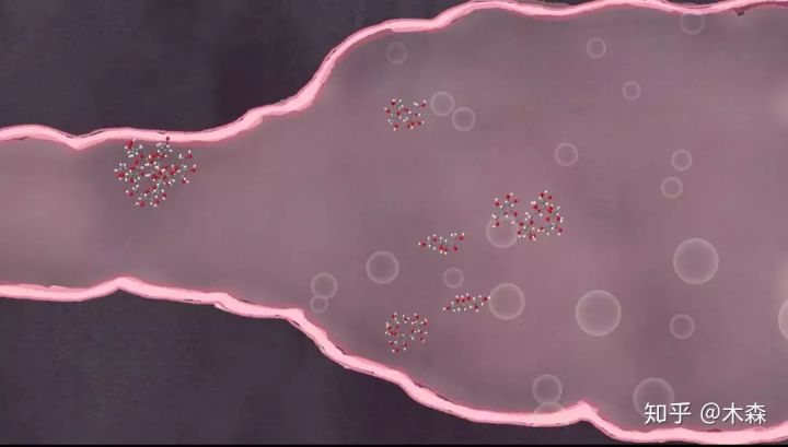 53403BC1-22C0-4133-9DAB-5B8A87930251.jpeg 53403BC1-22C0-4133-9DAB-5B8A87930251.jpeg