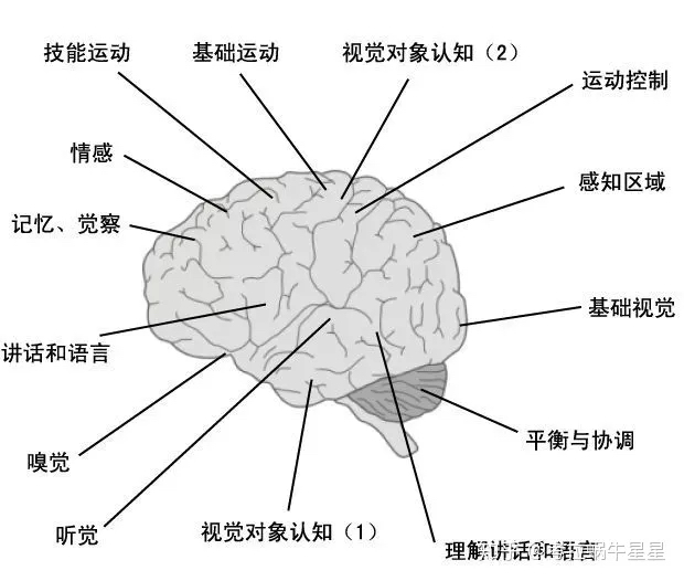 4E62C81A-982B-4F8D-8E00-CD8FBE8AFE17.jpeg 4E62C81A-982B-4F8D-8E00-CD8FBE8AFE17.jpeg