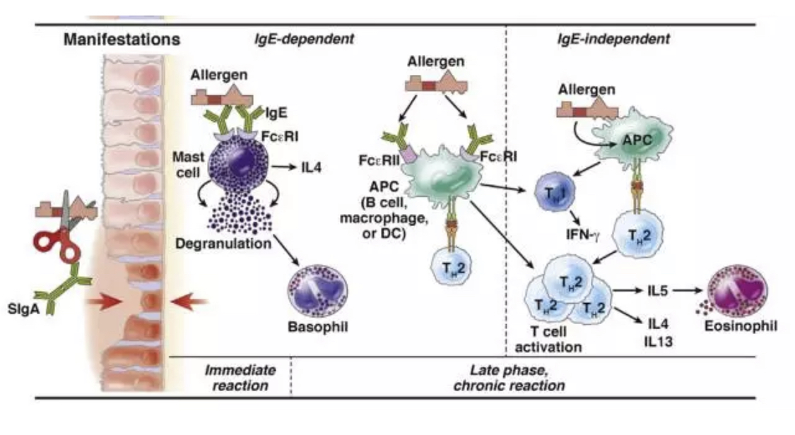 4A645D78-FA7D-4BE1-8A20-9F6DDB185451.jpeg 4A645D78-FA7D-4BE1-8A20-9F6DDB185451.jpeg
