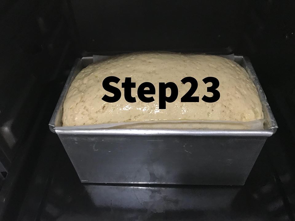 step23.jpg