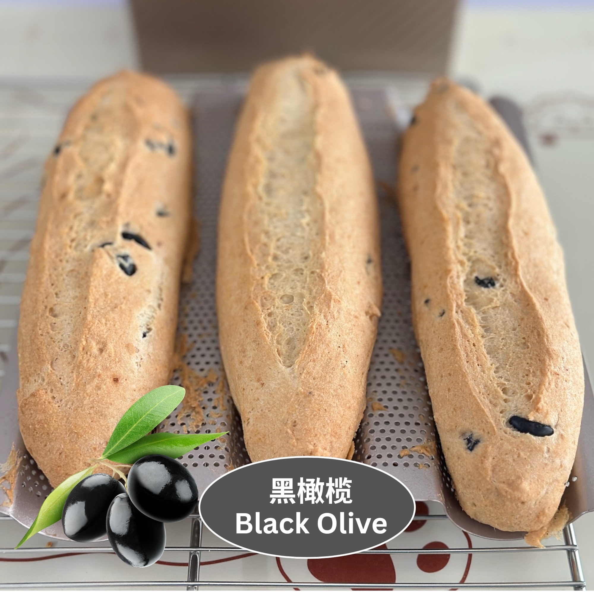 黑橄榄 / Black Olive