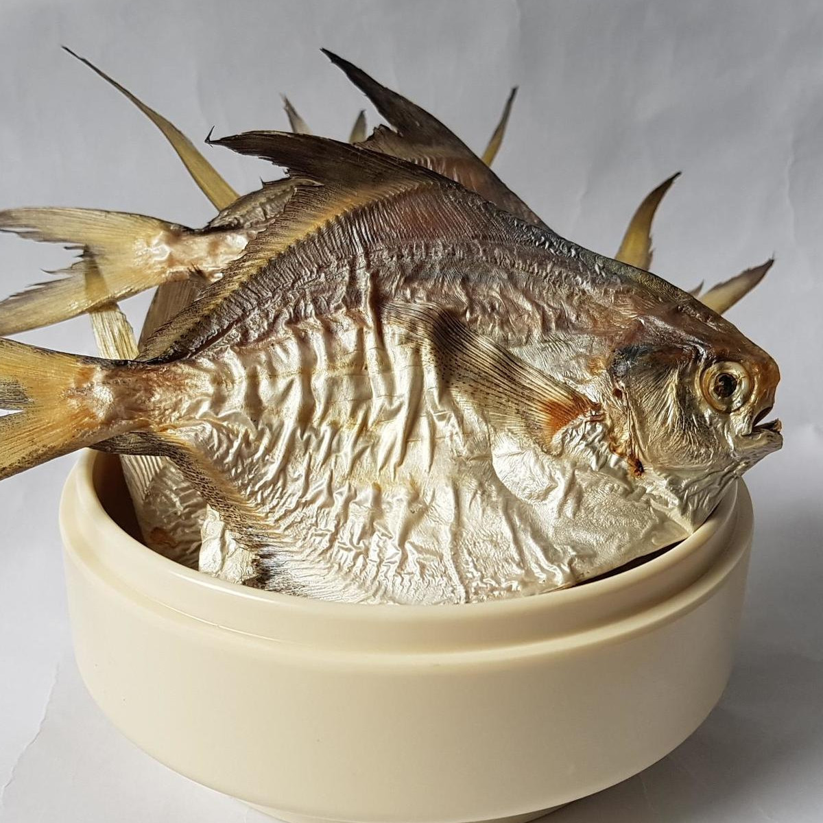 White Pomfret.jpg