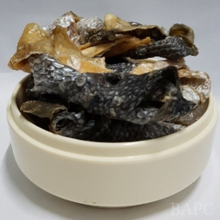 Salmon Skin (Twist).jpg