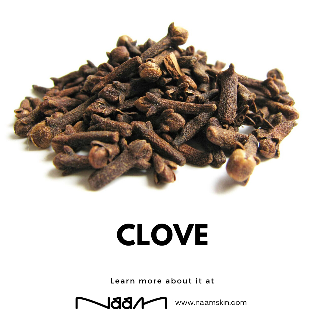 Clove