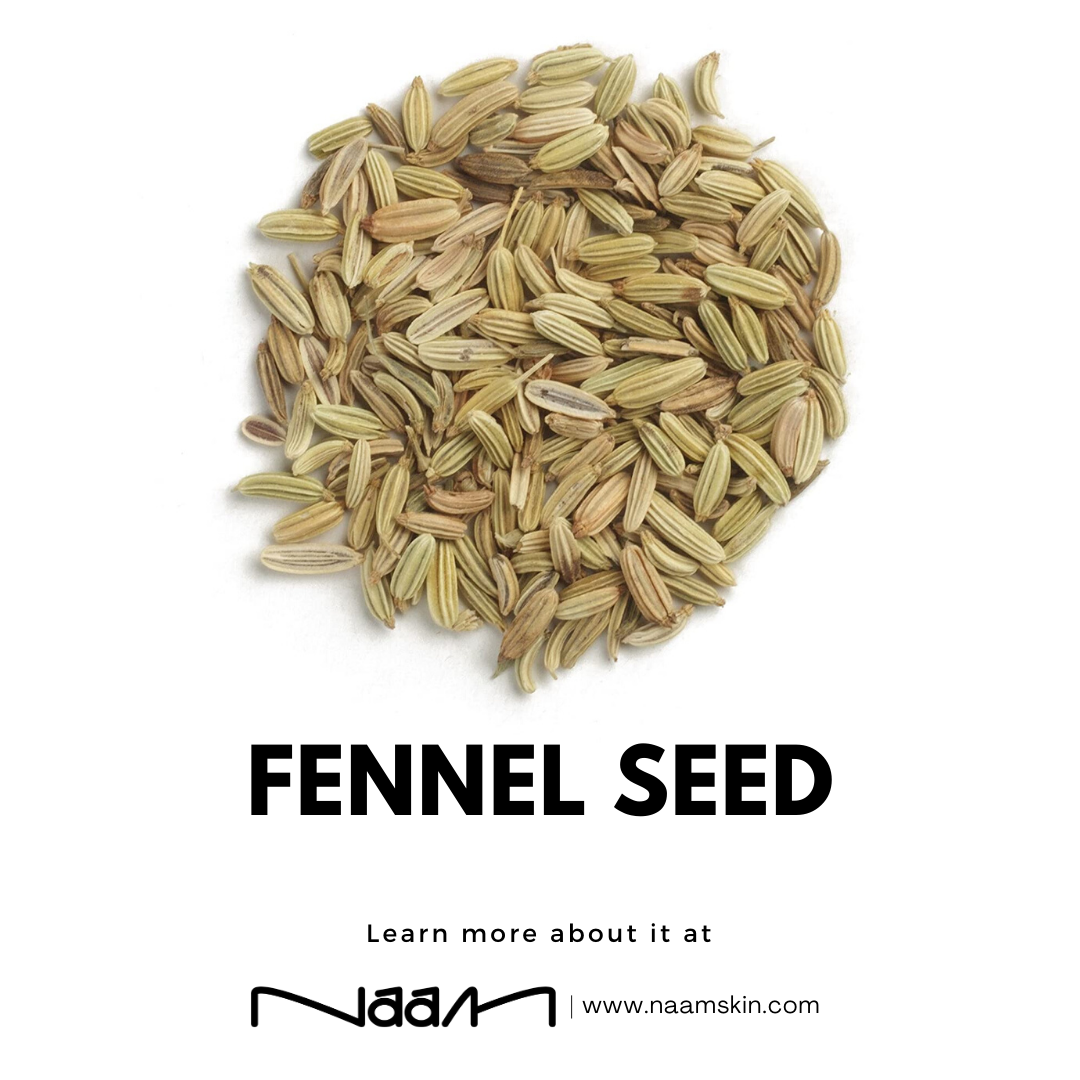 Fennel Seed