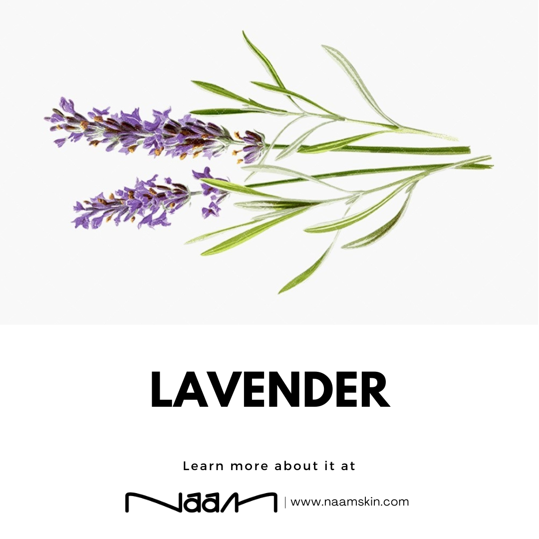 Lavender