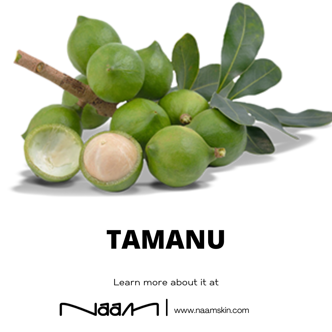 Tamanu