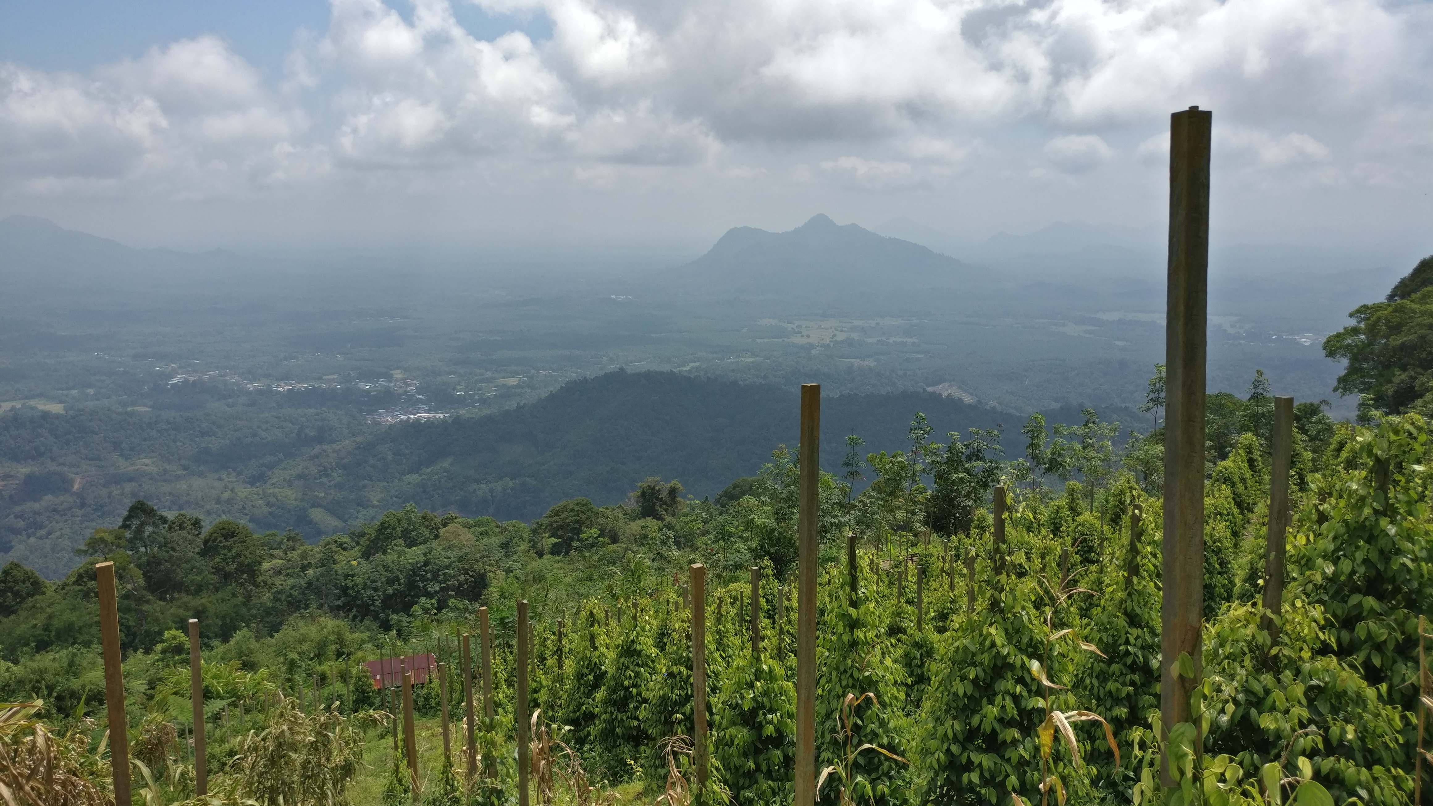 Silan Pepper Farm