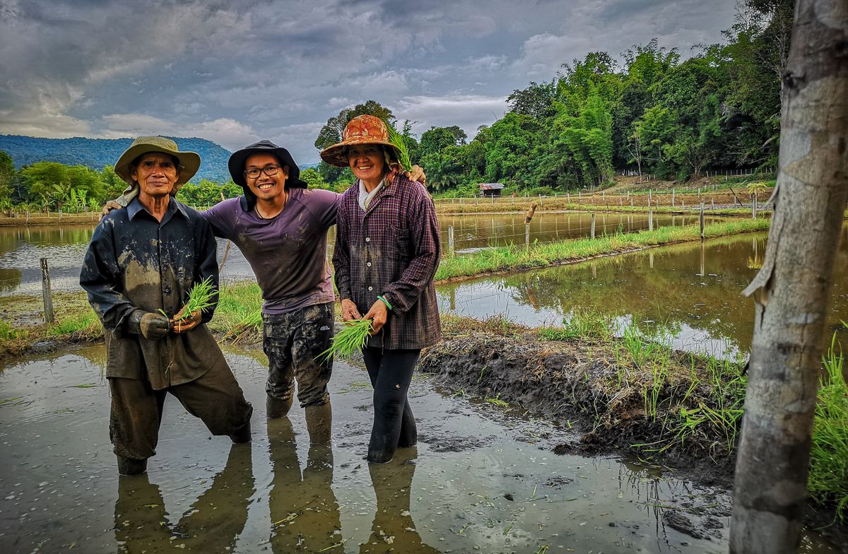 FARM TO TABLE : A FARMER’S EXPERIENCE