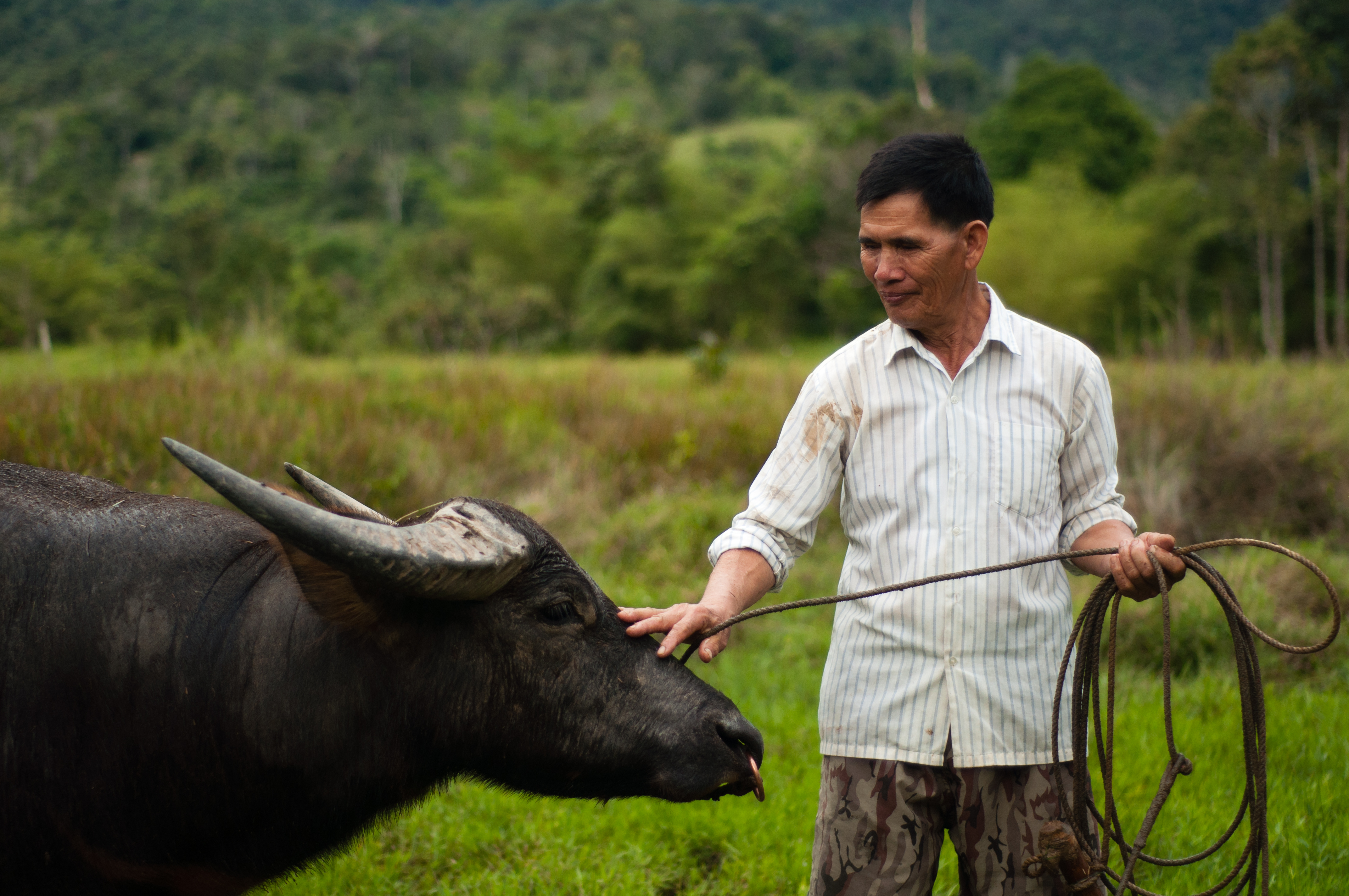 Langit-Farmer-Buffalo.JPG