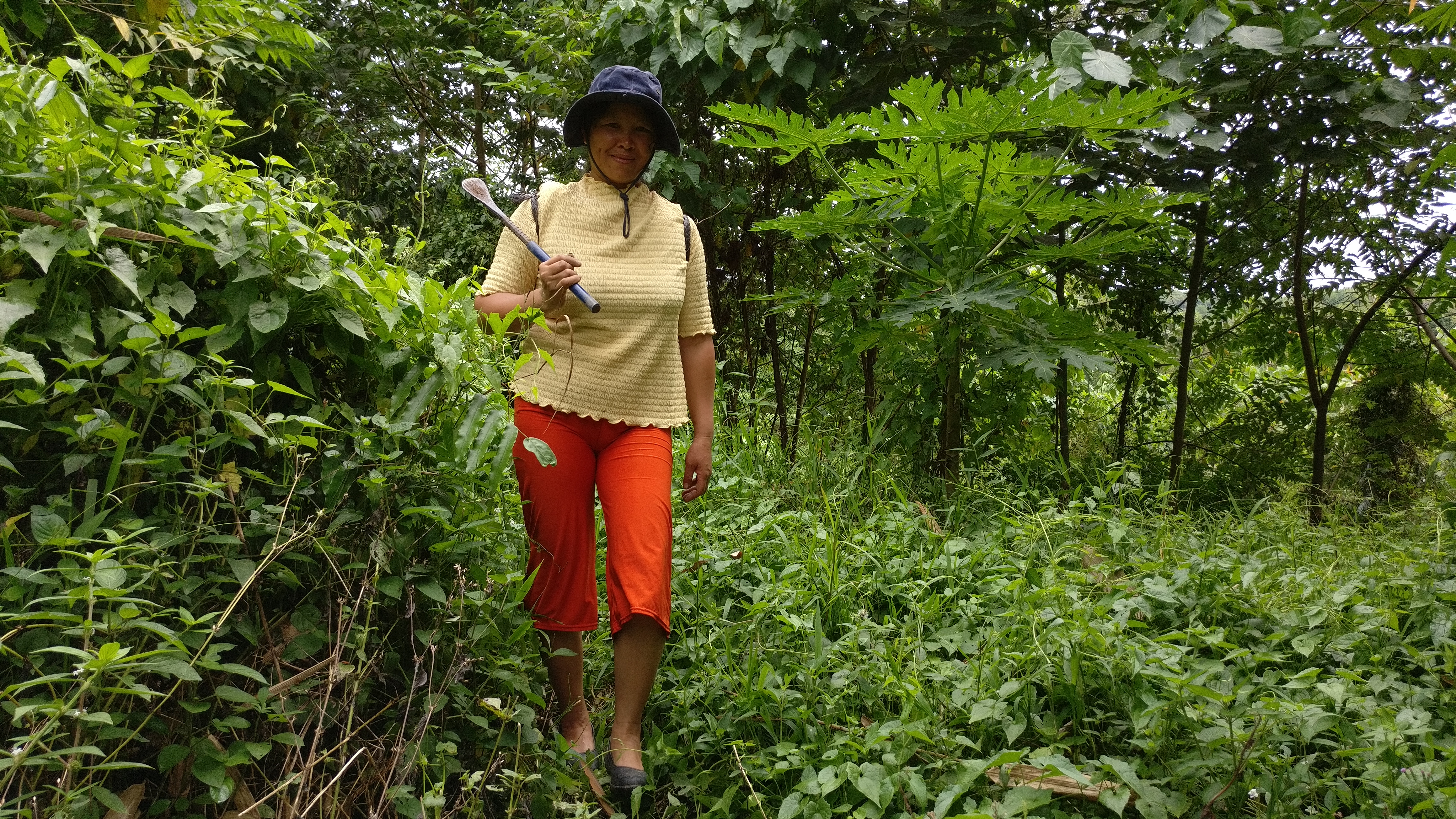 langit-ginger-farmer.jpg