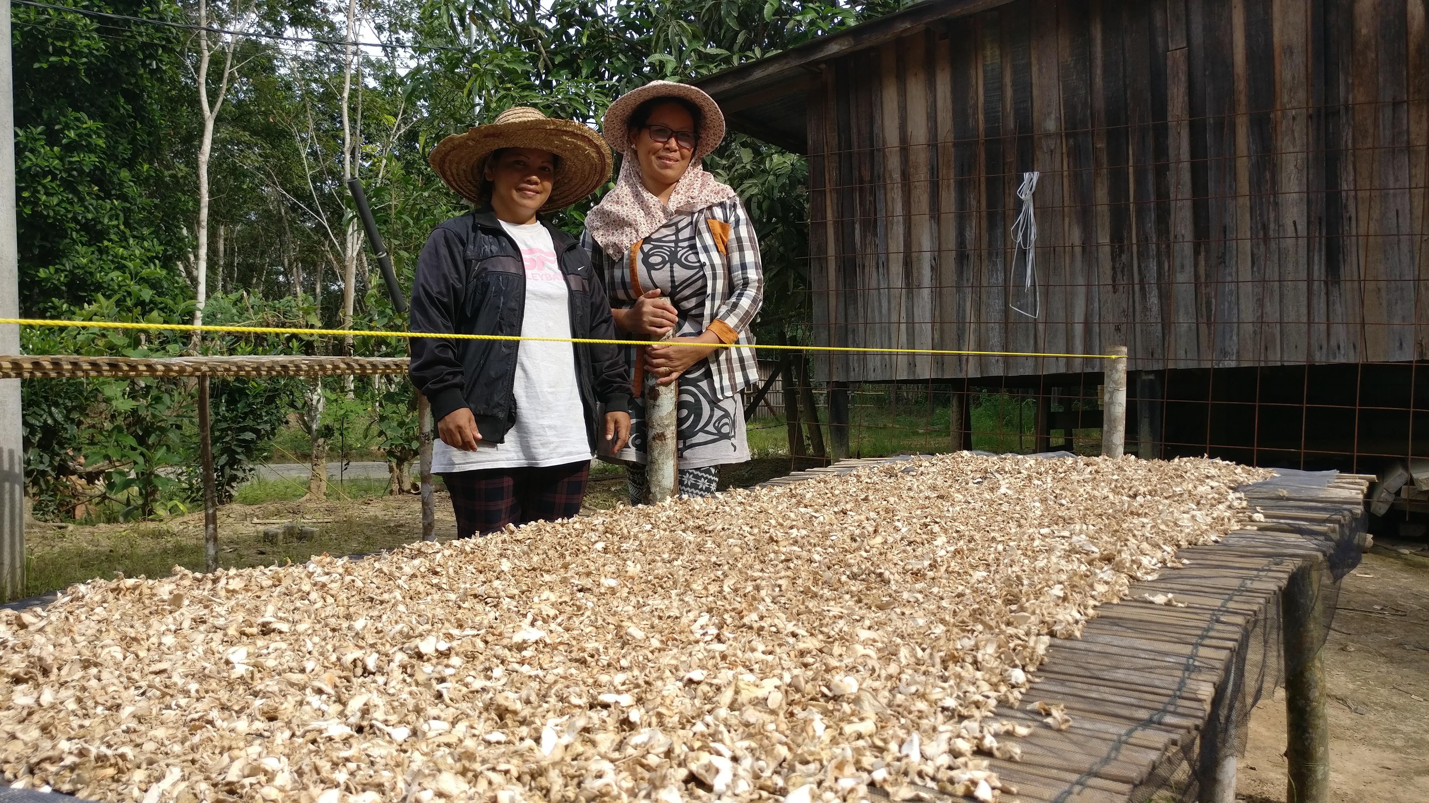 langit-ginger-farmers.jpg