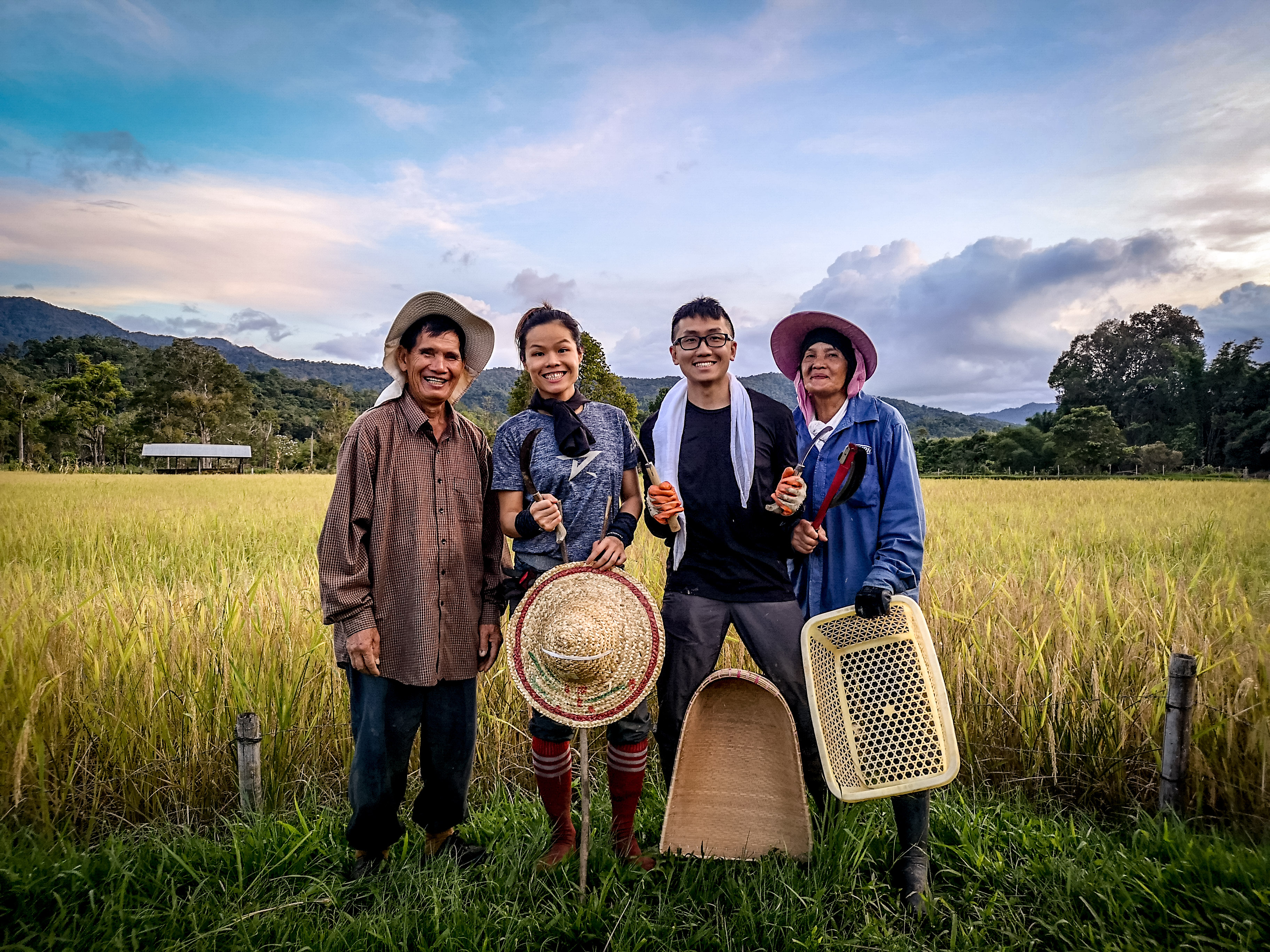 langit-rice-harvest-2020-2.jpg