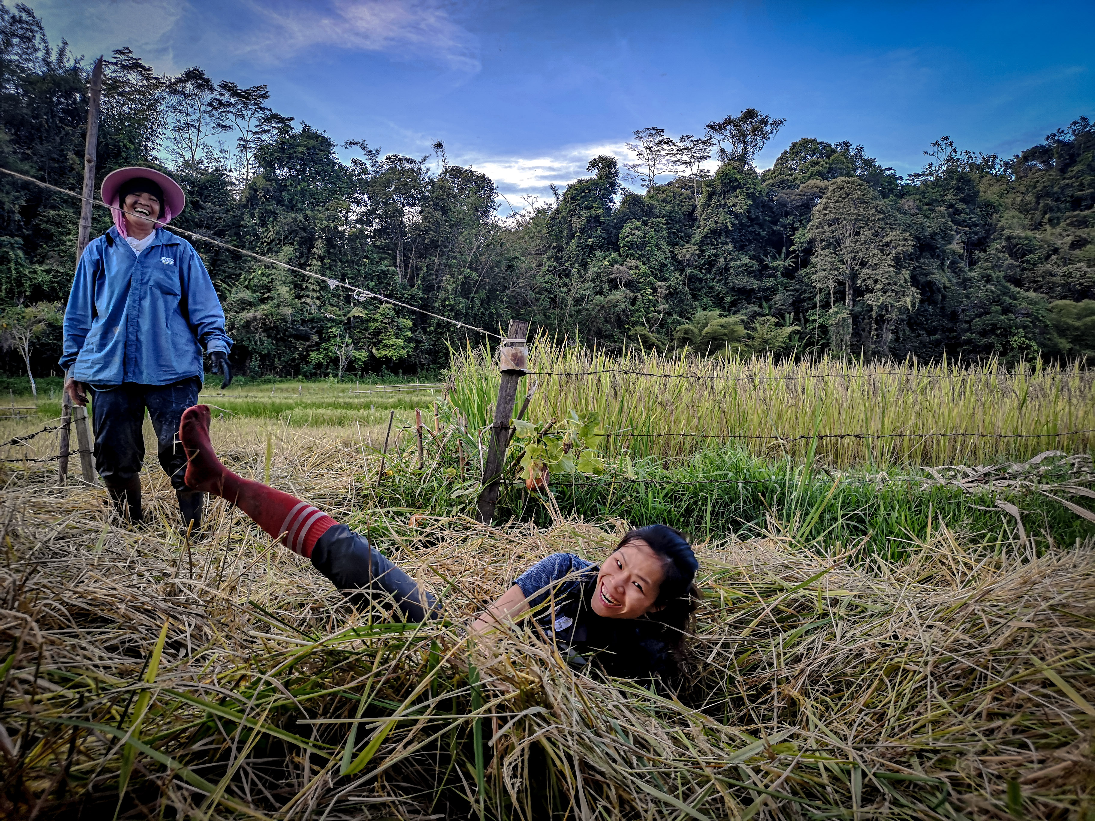 langit-rice-harvest-2020-13.jpg