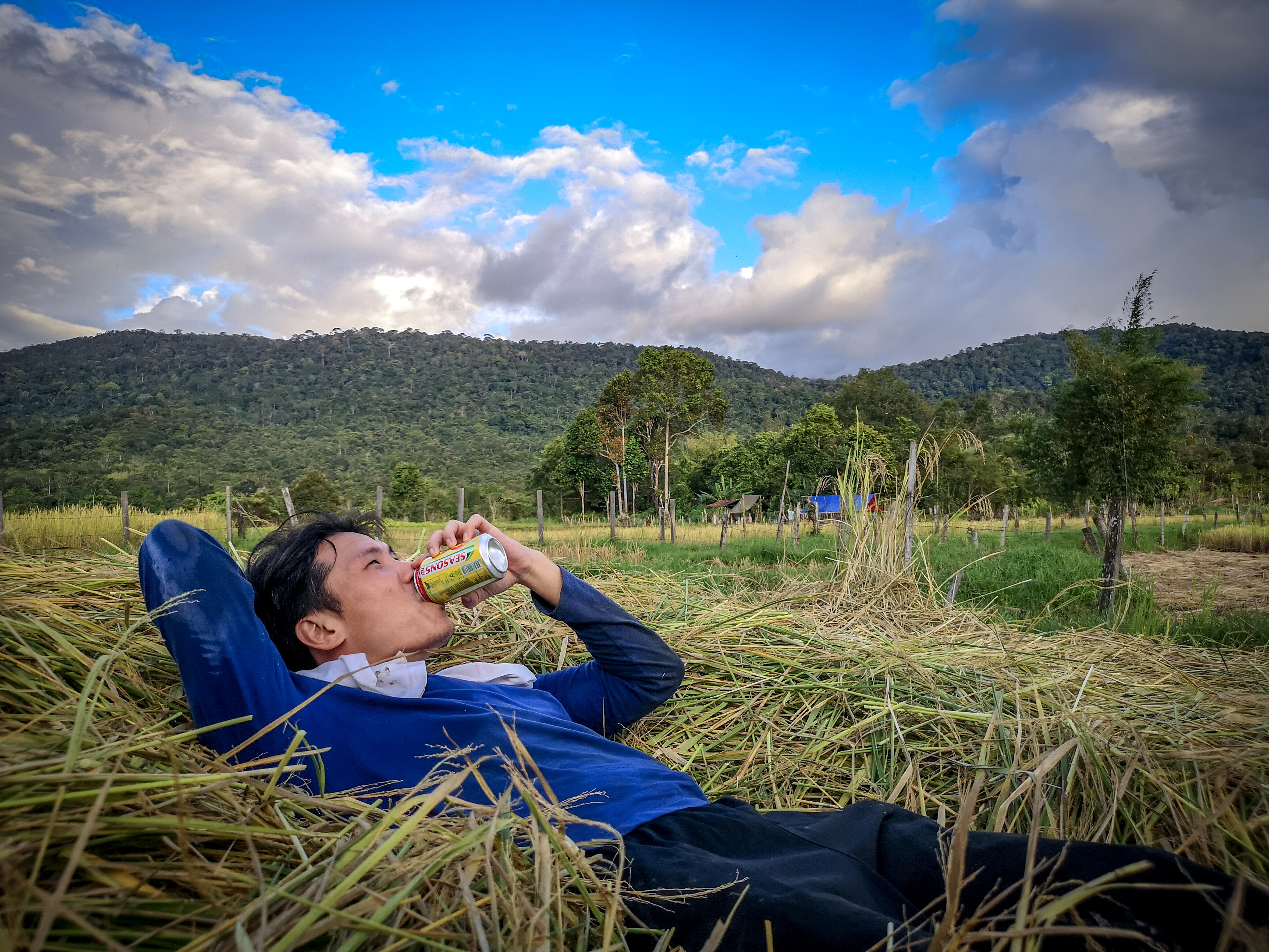 langit-rice-harvest-2020-4.jpg