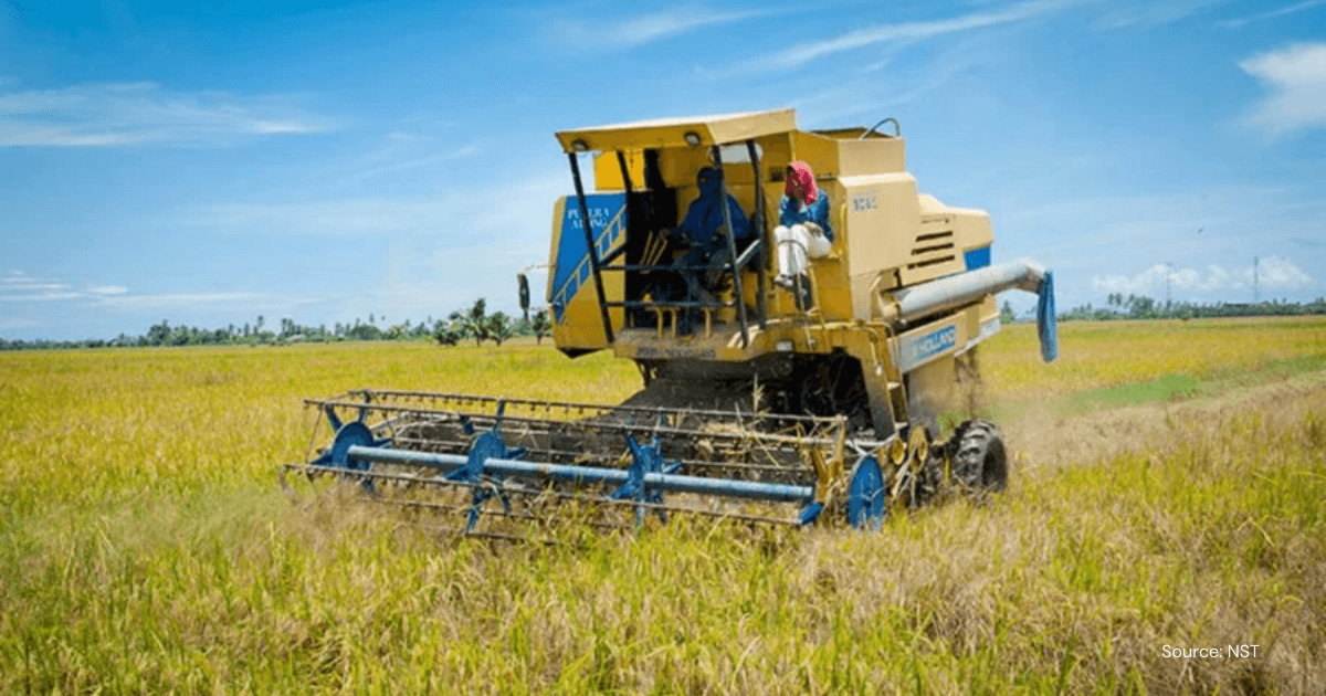 rice-farming-malaysia.png