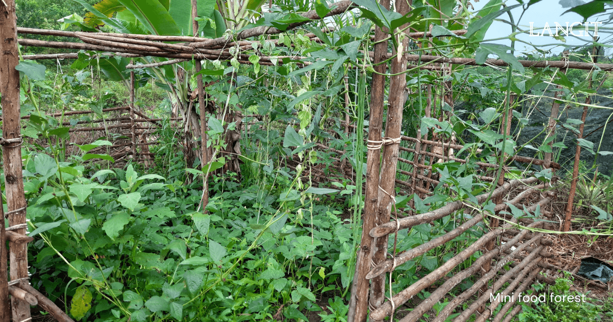 food-forest-langit-collective.png