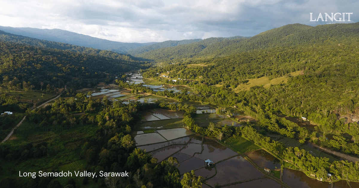 Building an Ecological Economy in Malaysia