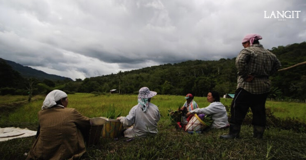 langit-collective-farmres-3.png