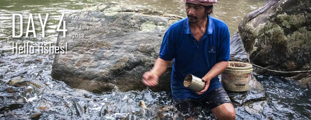 Long Lidung Tagang Fish